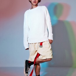 17ss11
