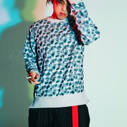 17ss13